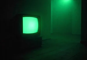 Il Teleschermo: quando la TV ti guarda