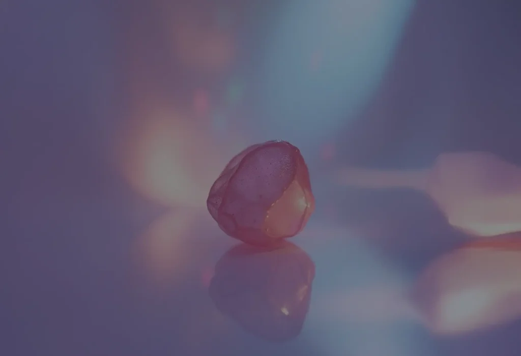 Il fermaglio di corallo: la bellezza inutile